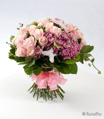 The very beautiful Eclipse handtied