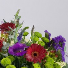 Lola of many colours handtied arrangement