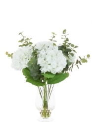 White Hygrangeas in a footed vase